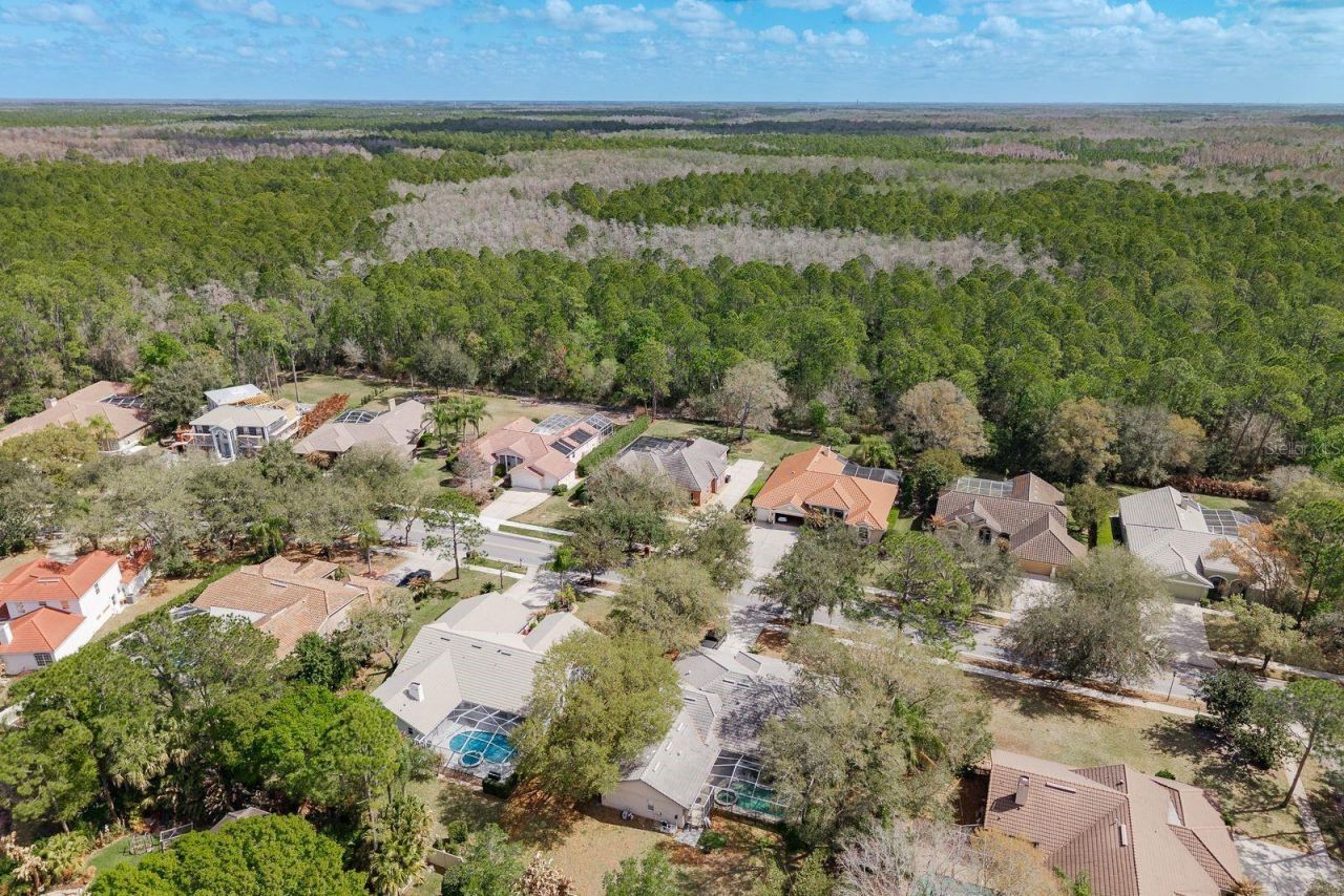 1499 E Lake Woodlands Parkway, Oldsmar, FL 34677 Photo