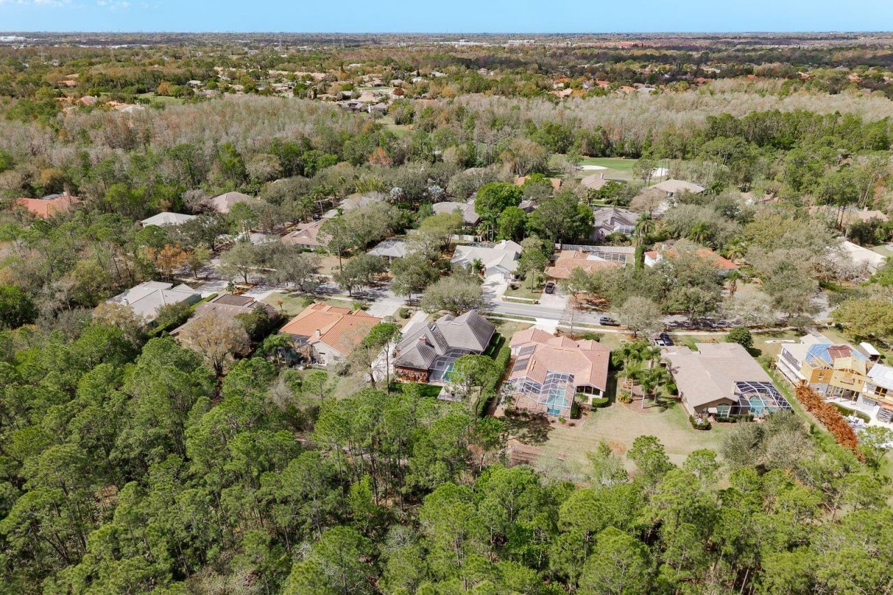 1499 E Lake Woodlands Parkway, Oldsmar, FL 34677 Photo