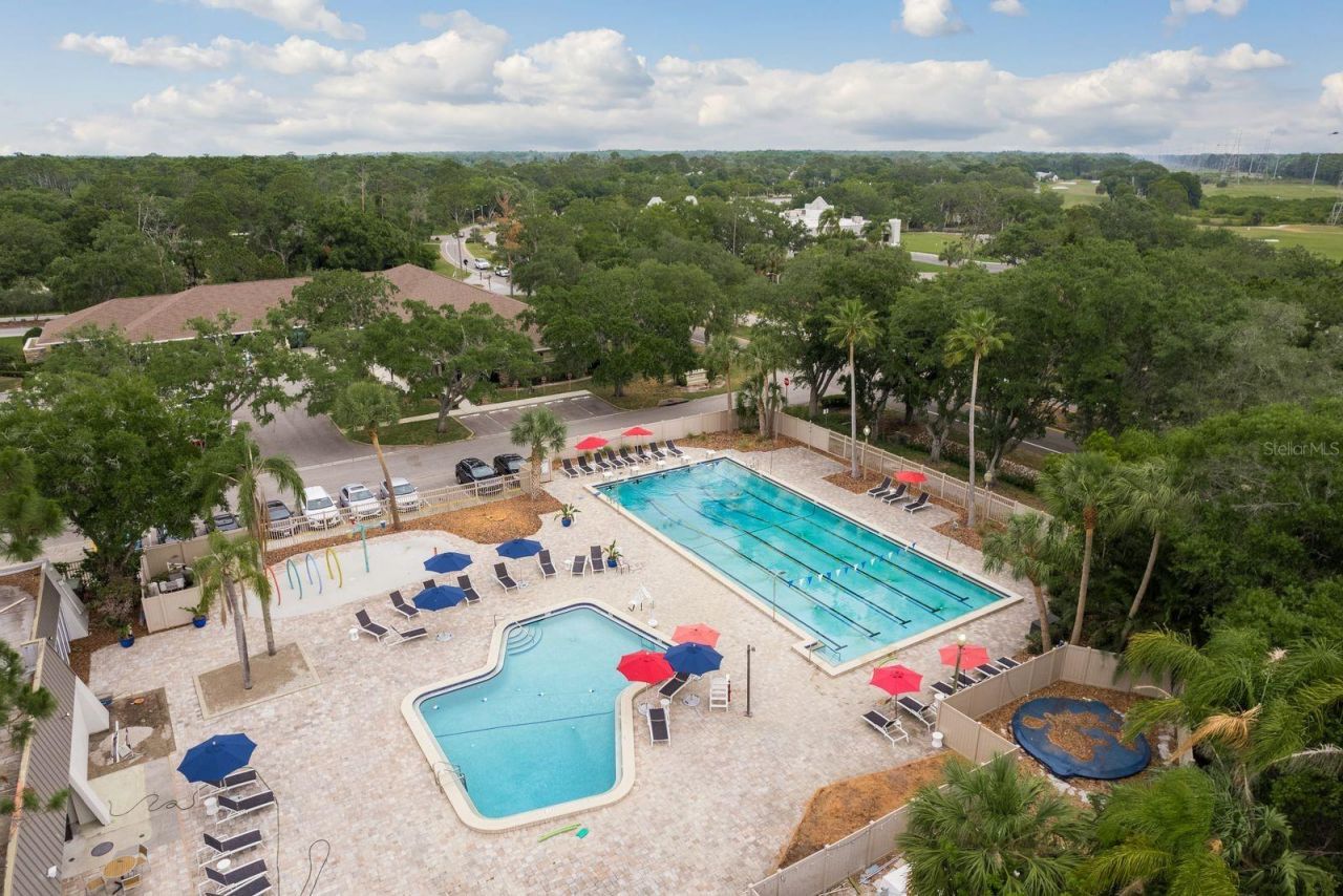 1499 E Lake Woodlands Parkway, Oldsmar, FL 34677 Photo