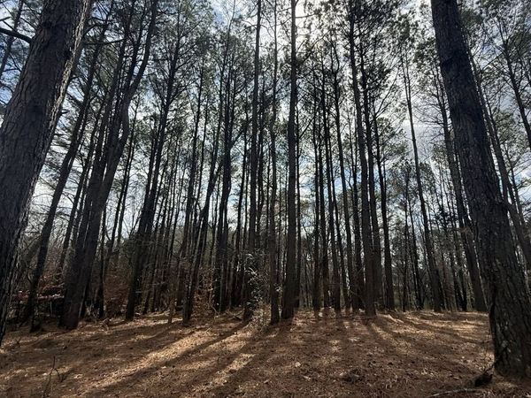 5583 Pedigap Rd, Morrison, TN 37357