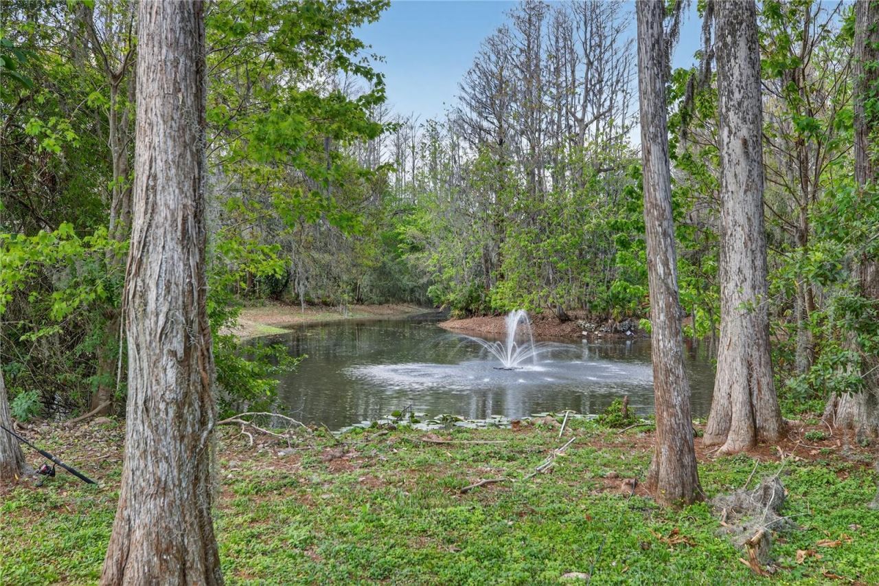 3663 Berger Road, Lutz, FL 33548 Photo