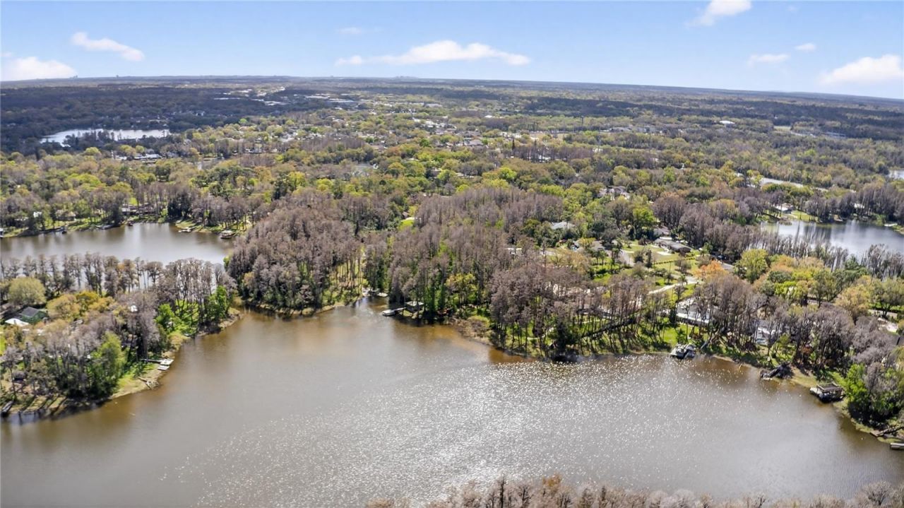 3663 Berger Road, Lutz, FL 33548 Photo