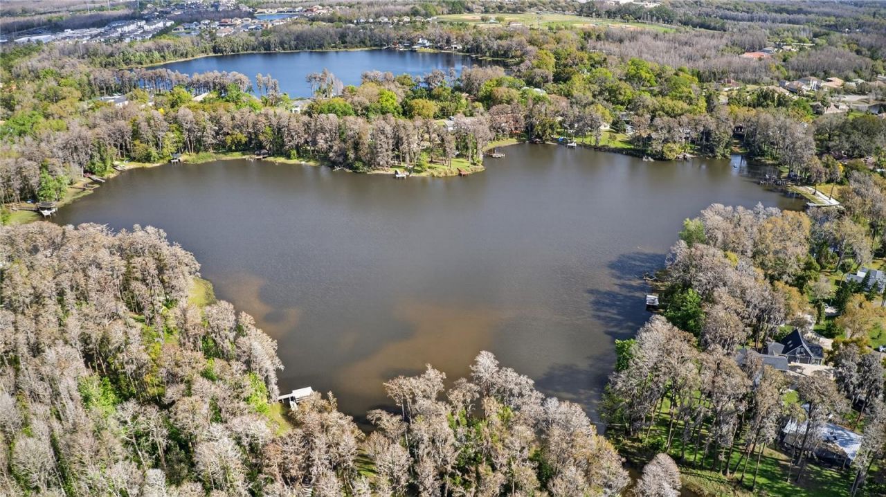 3663 Berger Road, Lutz, FL 33548 Photo