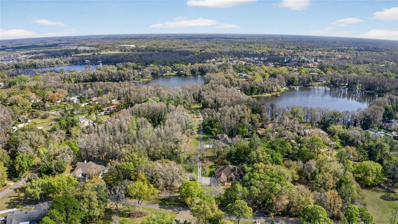 3663 Berger Road, Lutz, FL 33548 Photo