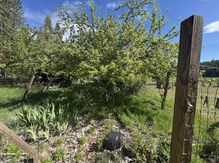 17347 Mountain View Road, Crescent Mills, CA 95947 Photo
