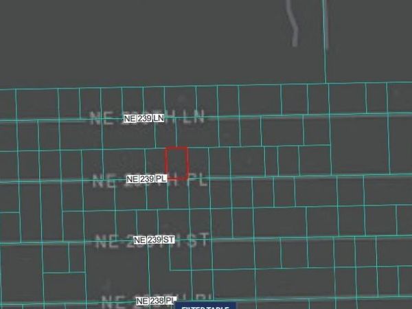 NE 243RD PLACE RD , FORT MC COY, FL 32134