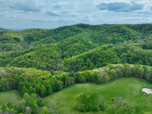 Chestnut Flats, Lewisburg, WV 24901