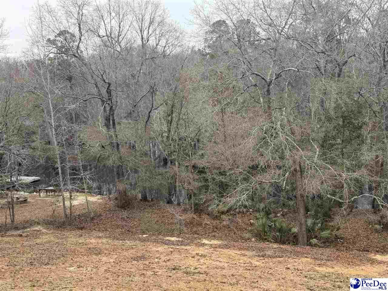 90 Roberts Ln Photo 28