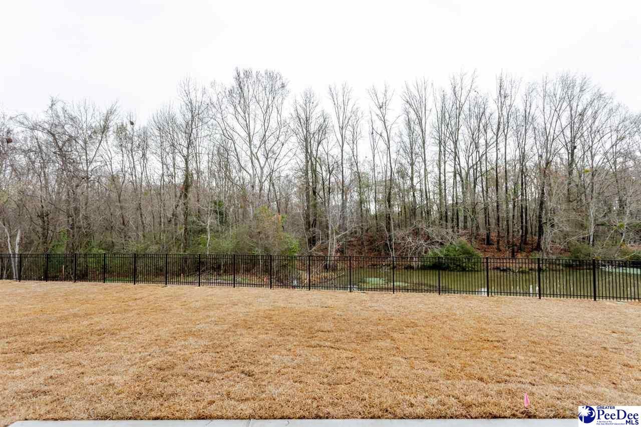 2524 Edinberg Way Photo 58