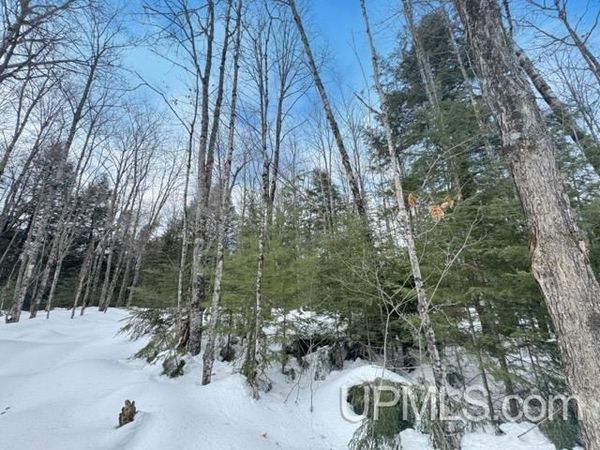 Lot 7 W Tamarack Lake Road, Watersmeet Twp, MI 49969