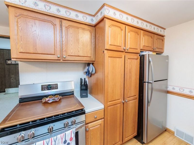 221 Franks Avenue, Wadsworth, OH 44281 Photo 19