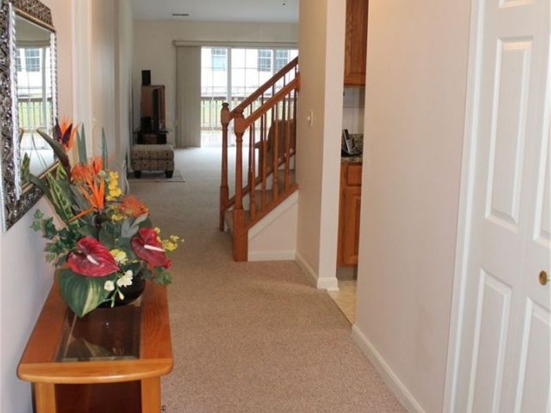 8794 Basswood Place, Macedonia, OH 44056 Photo 38