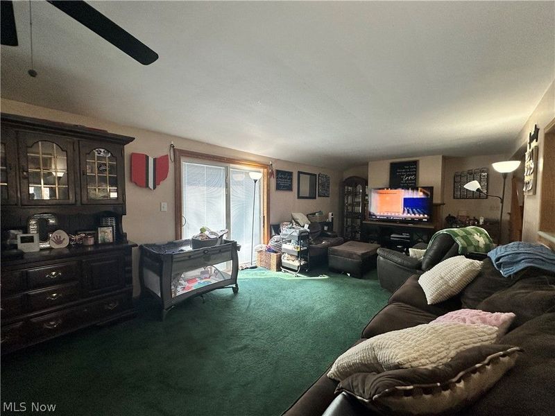 945 N 12th Street, Sebring, OH 44672 Photo 8