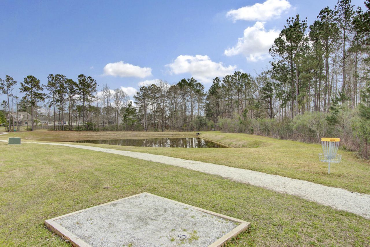 204 Palmetto Village Circle Photo 61