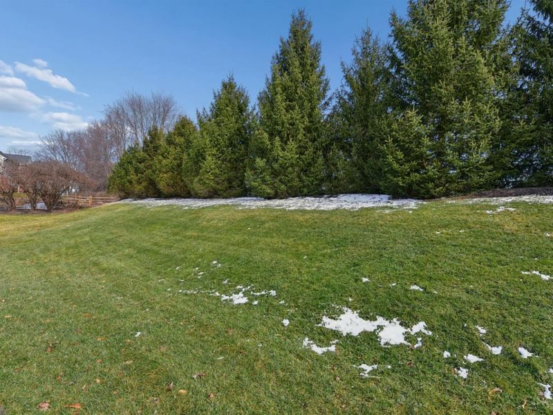 8320 Katies Court, Anderson Twp, OH 45244 Photo 35