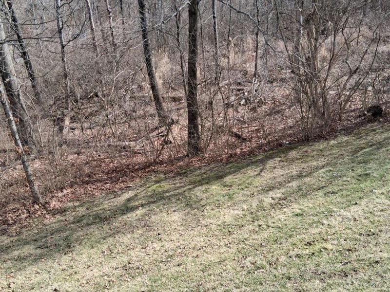 5876 Sutters Mill Drive, Green Township, OH 45247 Photo 78