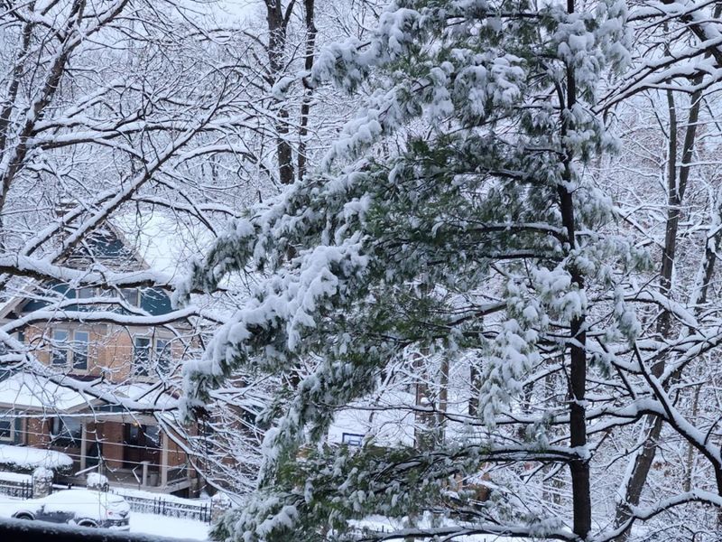 2121 Alpine Place, Unit 301, Cincinnati, OH 45206 Photo 34