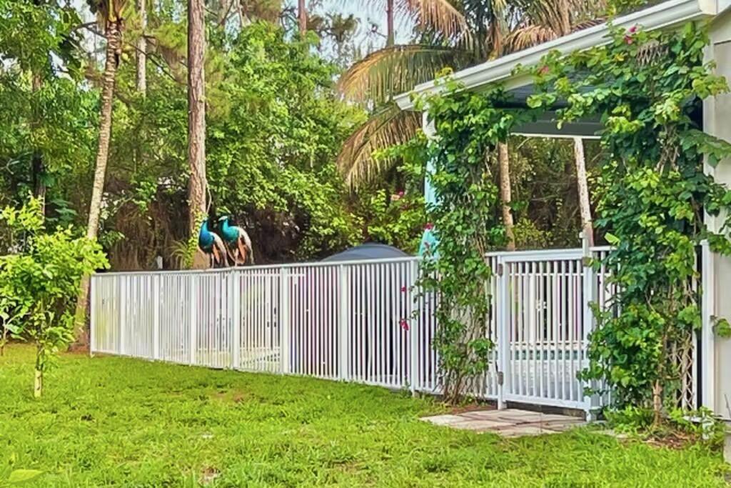 12394 61st Lane N, West Palm Beach, FL 33412 Photo