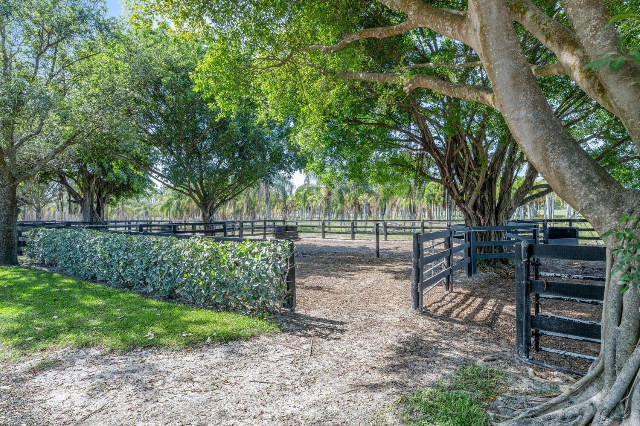 4905 130th Avenue S, Wellington, FL 33414 Photo