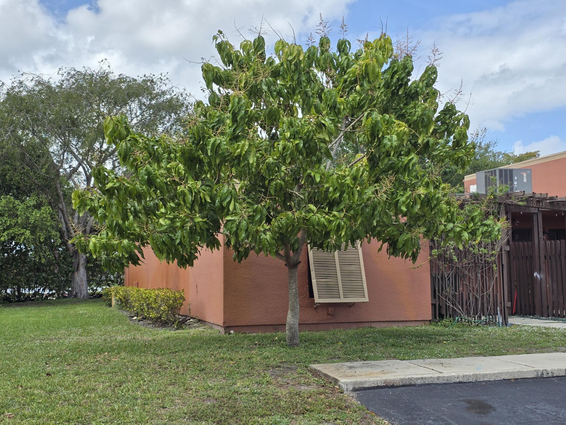 10343 Greenhouse Road, Pembroke Pines, FL 33026 Photo