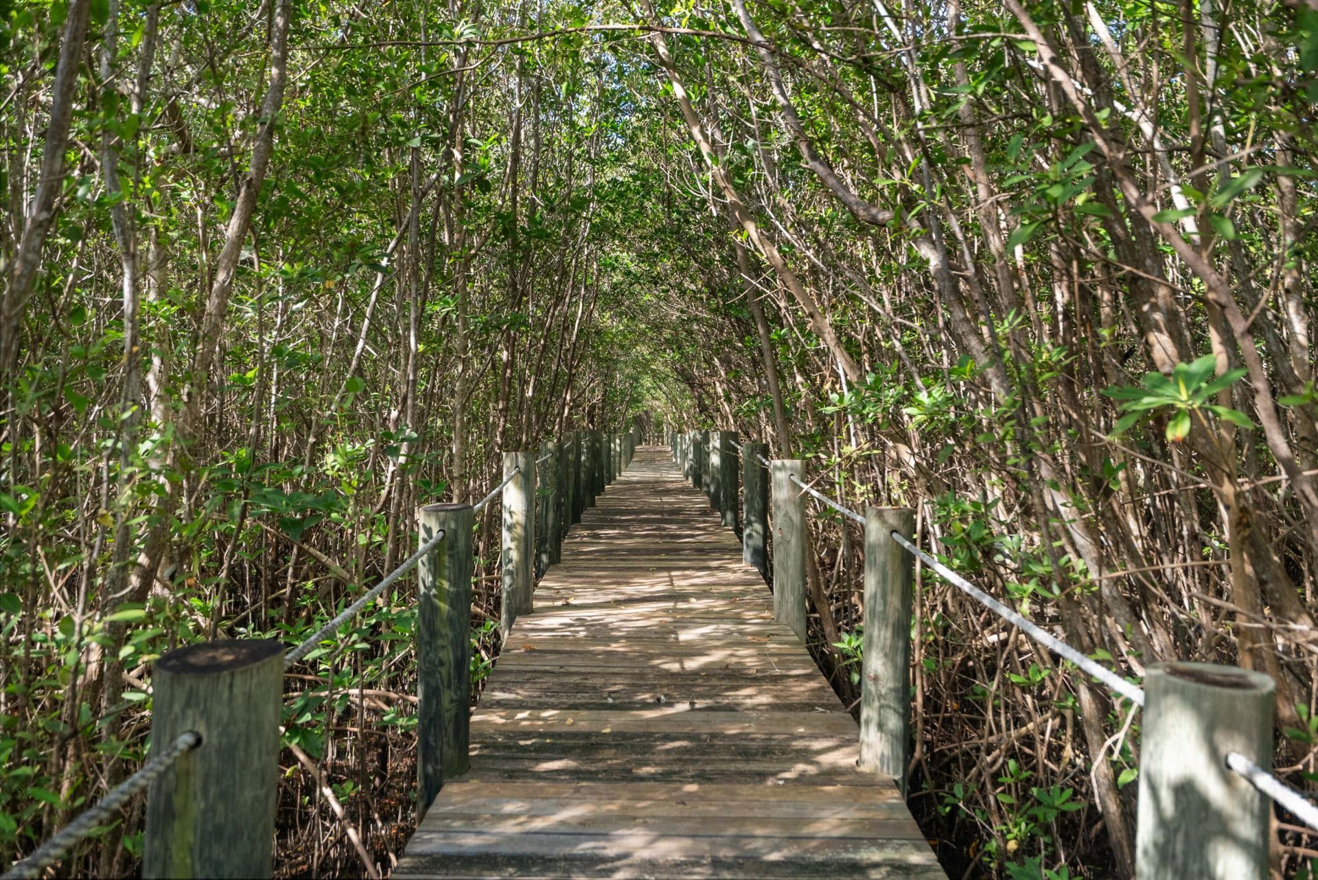 10187 S Ocean Drive, Unit 1, Jensen Beach, FL 34957 Photo