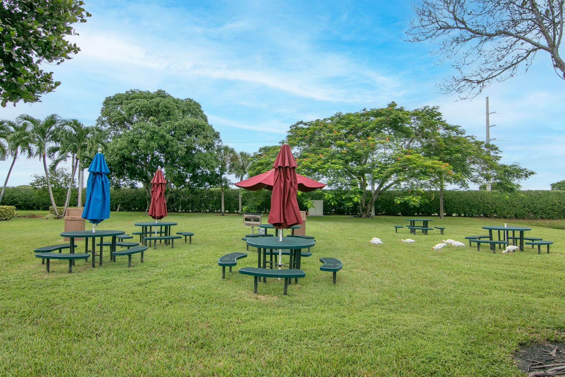 39 Burgundy A, Delray Beach, FL 33484 Photo