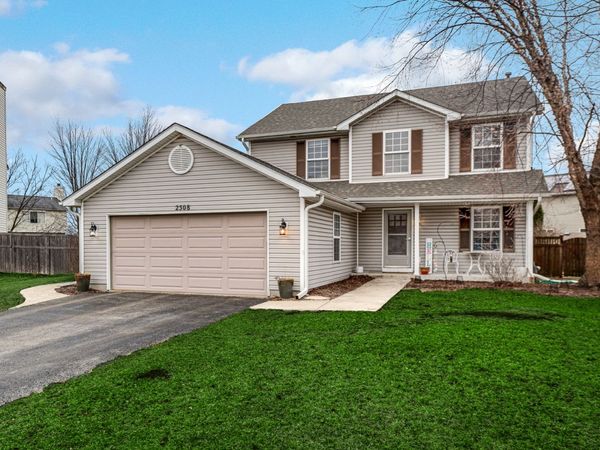2508 Falls Court, Plainfield, IL 60586