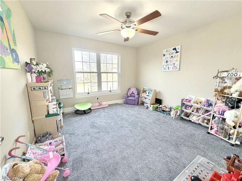 3410 Florences Way Court, Perry, OH 44081 Photo 10