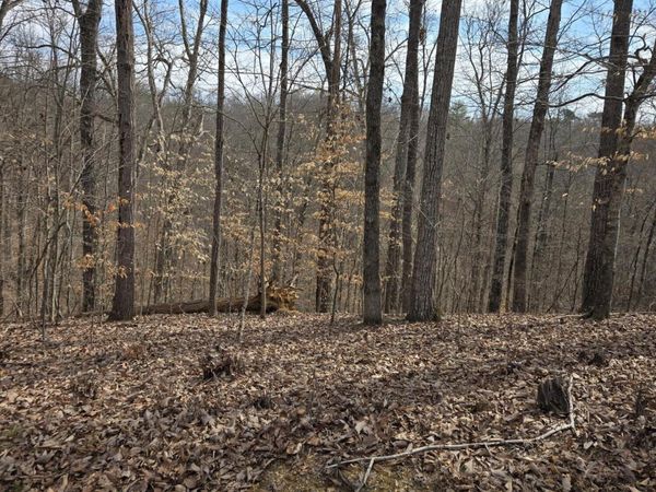 Lot 937 Stoneway Court, Baneberry, TN 37890