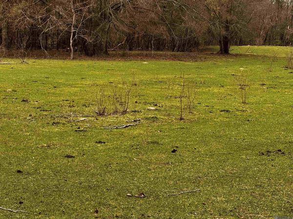 Carpenters Landing Rd, Hammond, LA 70403