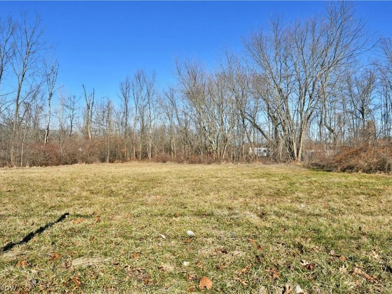 Niles Road, Warren, OH 44444 Photo 1