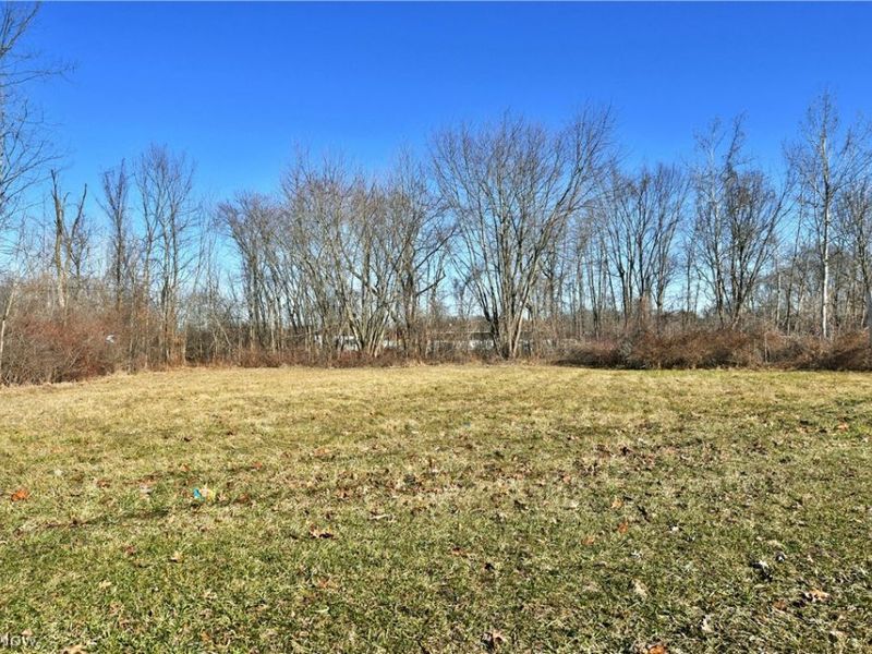 Niles Road, Warren, OH 44444 Photo 2