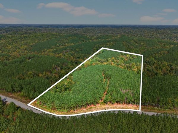 210 Ridgewood Dr , Linden, TN 37096