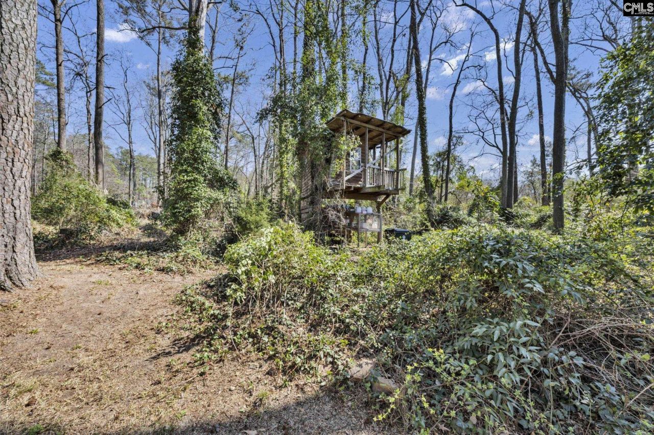 103 Merry Drive Photo 47