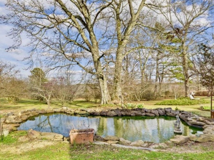 Property Image 50