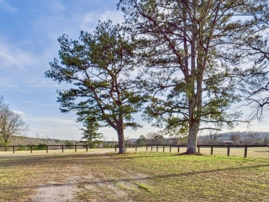 Property Image 61