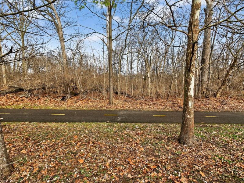 5534 Westerville Crossing Drive, Westerville, OH 43081 Photo 46