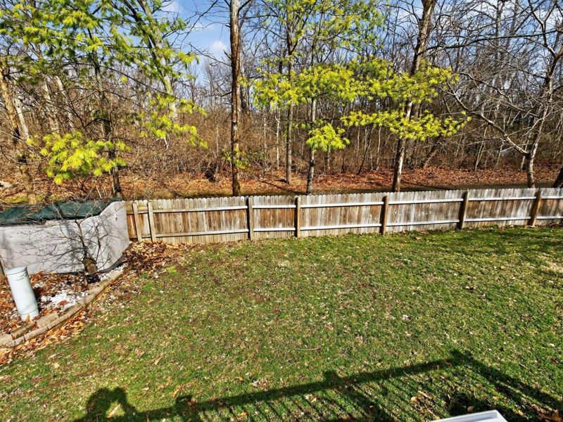 5534 Westerville Crossing Drive, Westerville, OH 43081 Photo 6