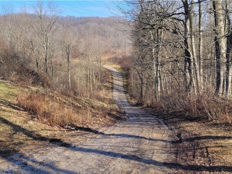 4002 Plainfield Road, Kimbolton, OH 43749 Photo 11