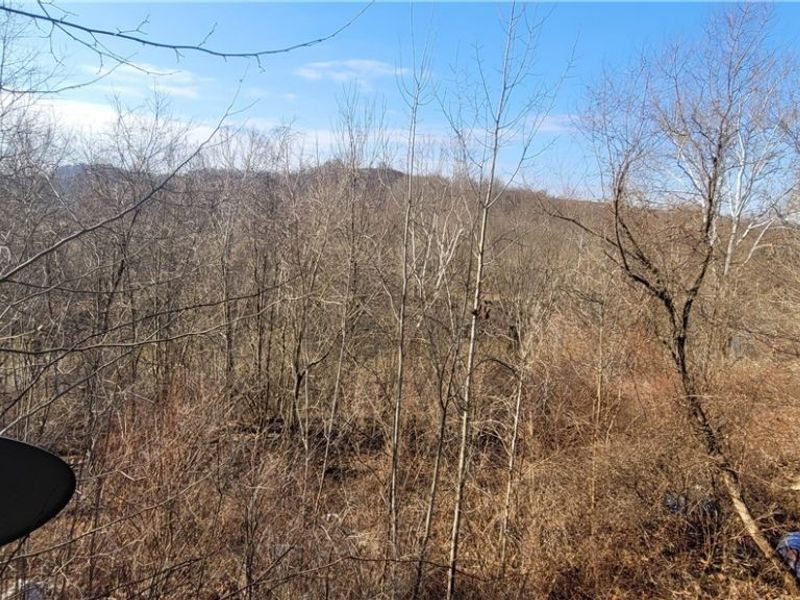 4002 Plainfield Road, Kimbolton, OH 43749 Photo 16