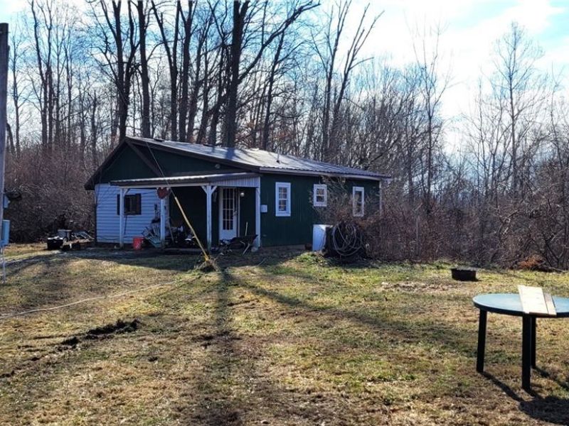 4002 Plainfield Road, Kimbolton, OH 43749 Photo 18