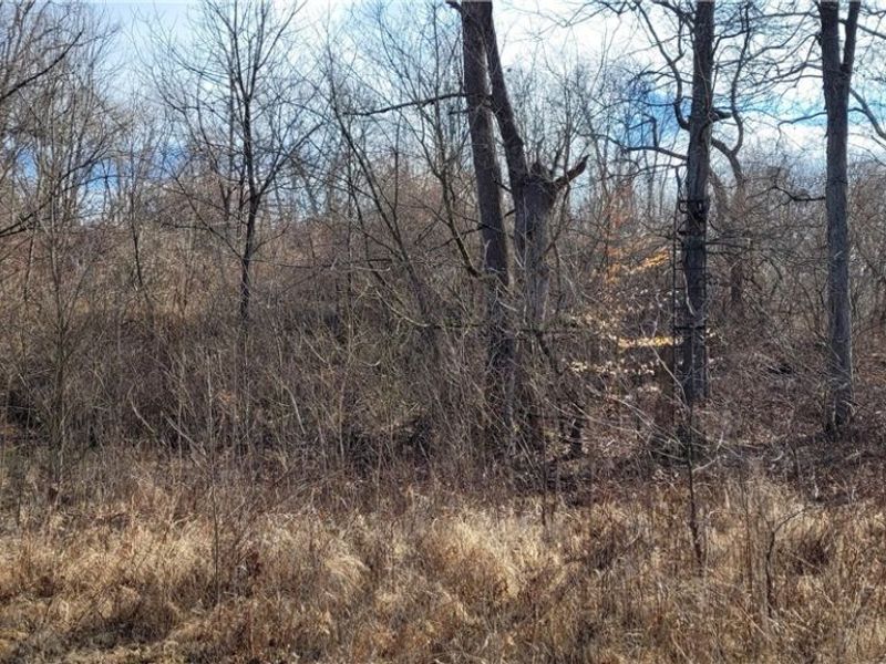 4002 Plainfield Road, Kimbolton, OH 43749 Photo 25