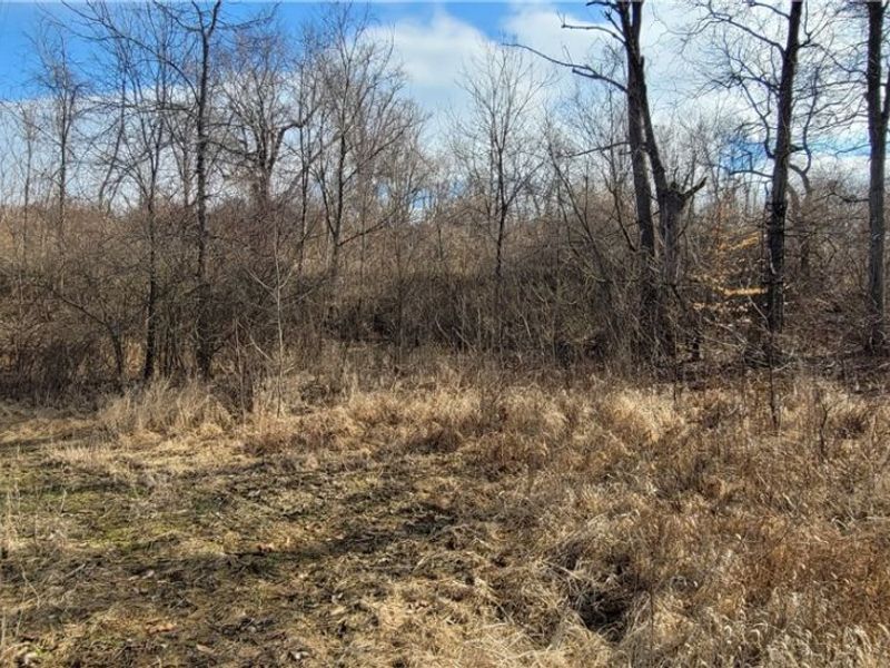 4002 Plainfield Road, Kimbolton, OH 43749 Photo 26