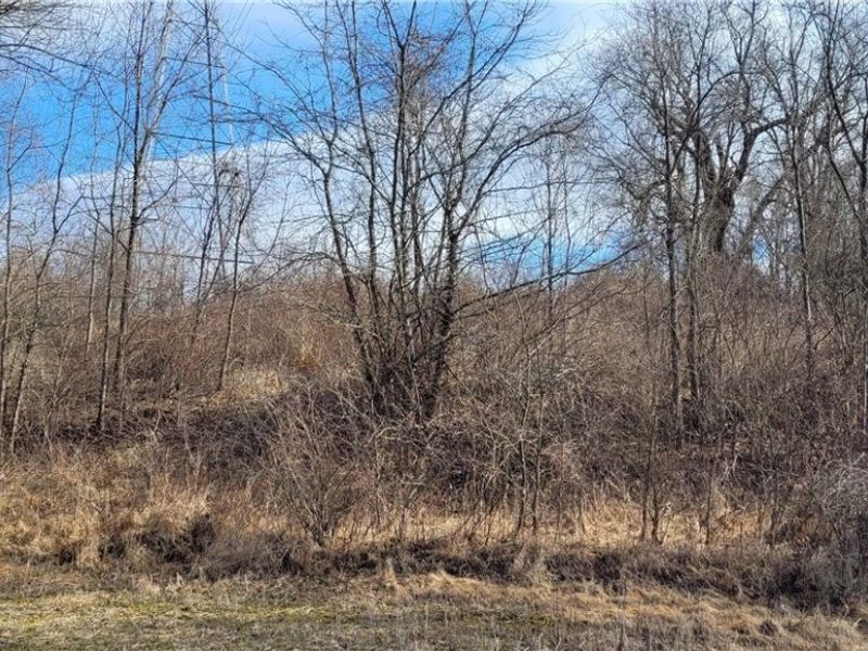 4002 Plainfield Road, Kimbolton, OH 43749 Photo 27