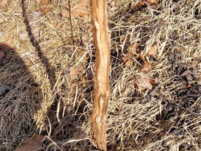 4002 Plainfield Road, Kimbolton, OH 43749 Photo 28