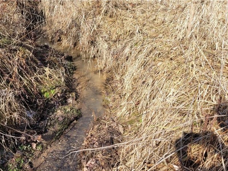 4002 Plainfield Road, Kimbolton, OH 43749 Photo 31