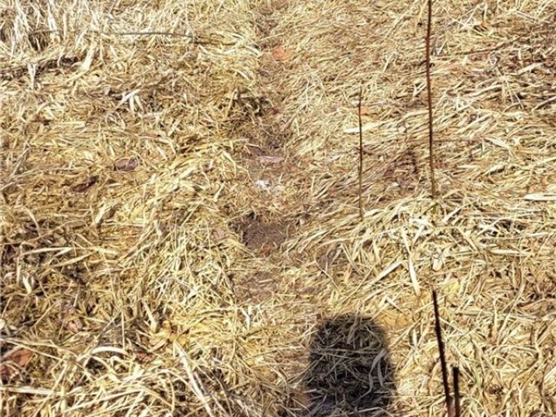 4002 Plainfield Road, Kimbolton, OH 43749 Photo 32