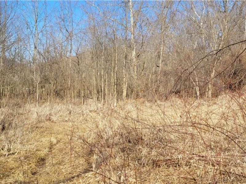 4002 Plainfield Road, Kimbolton, OH 43749 Photo 33