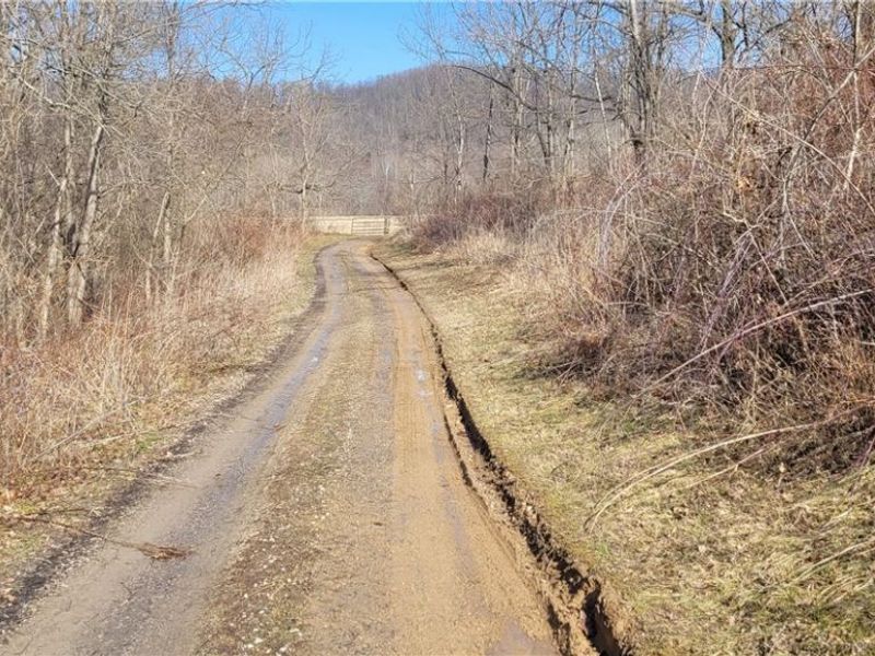 4002 Plainfield Road, Kimbolton, OH 43749 Photo 9