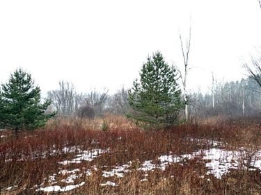 Route 11 N, Accord, NY 13084